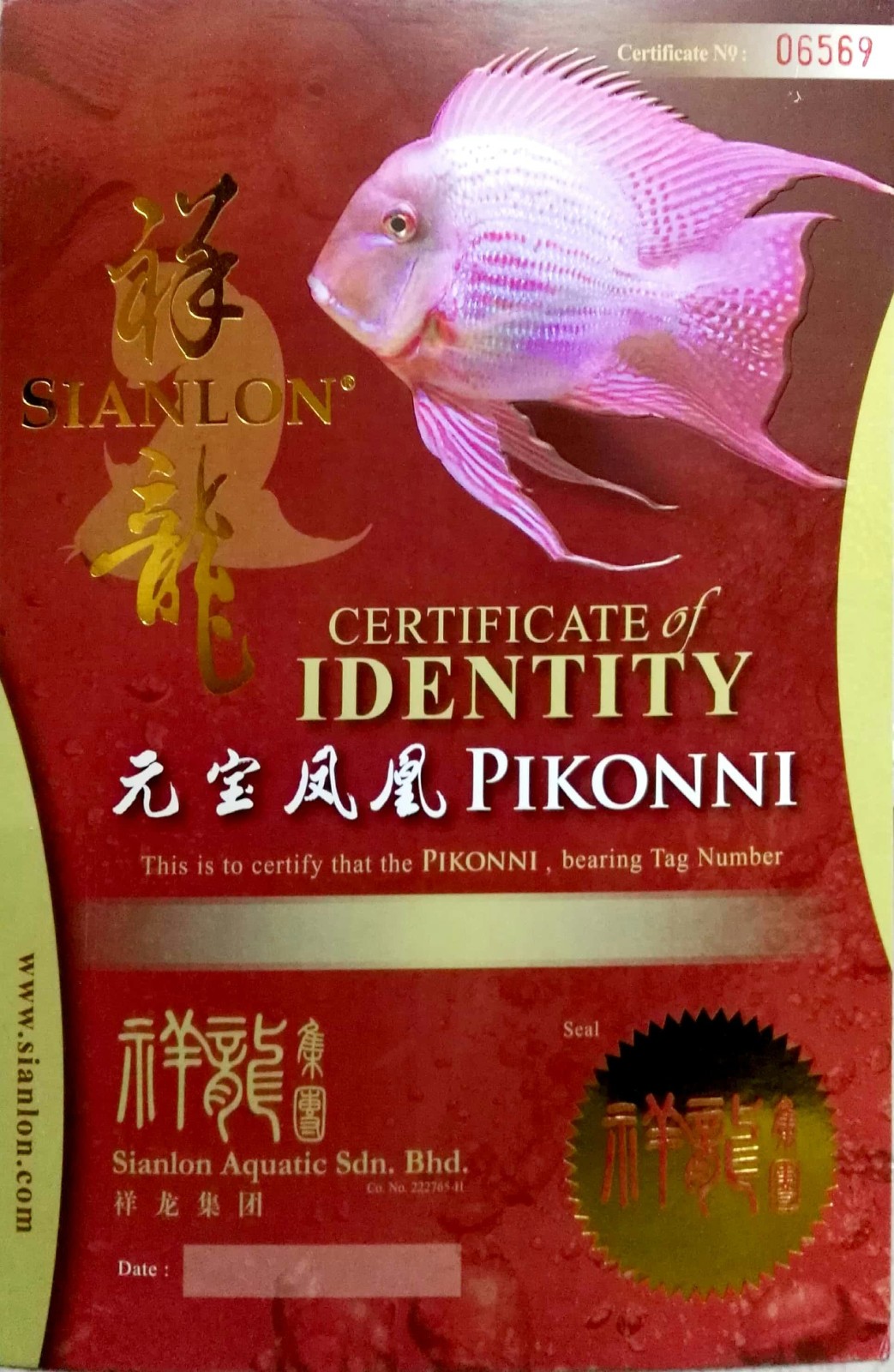 Miyazaki CERTIFICATE of DENTITY  PIKONNI